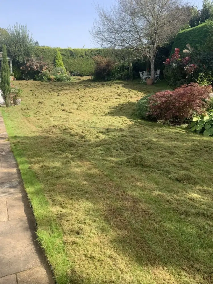 Scarified Lawn