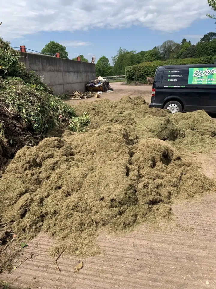 Gathered thatch removed from lawn