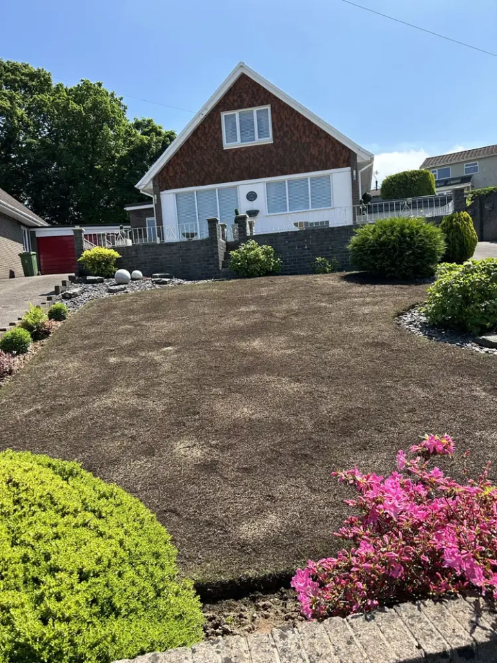 Lawn in need of restoration