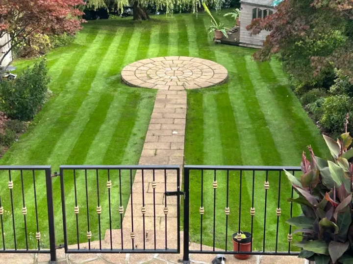 Lawn Renovation Pontypool