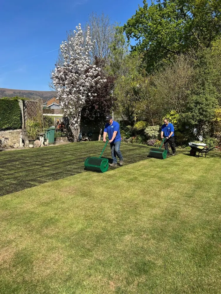 Restoration of Lawn