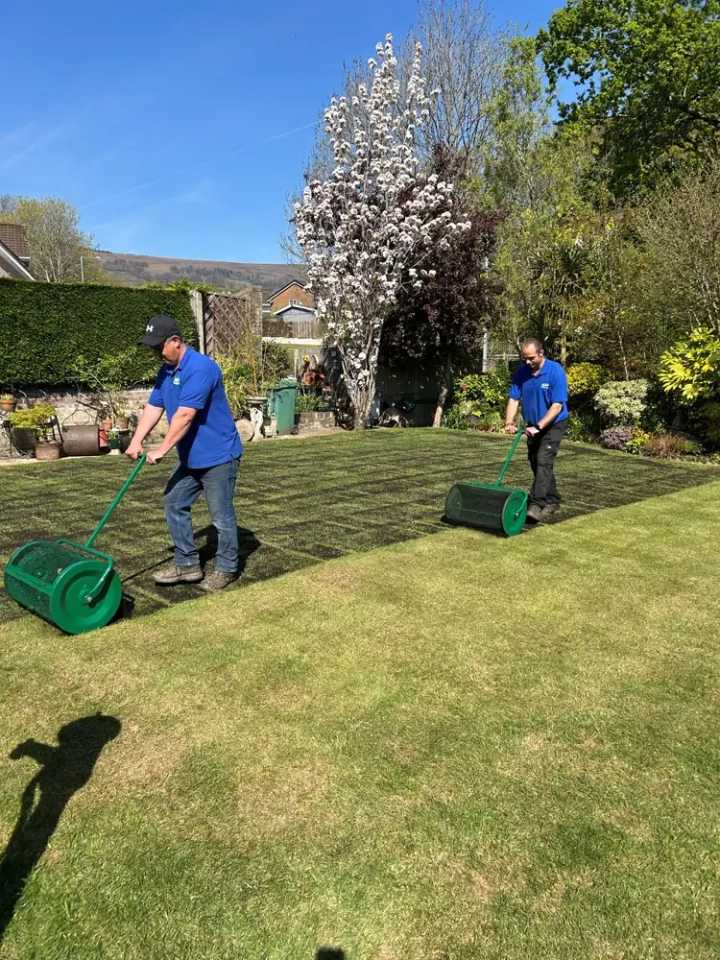 Lawn being restored