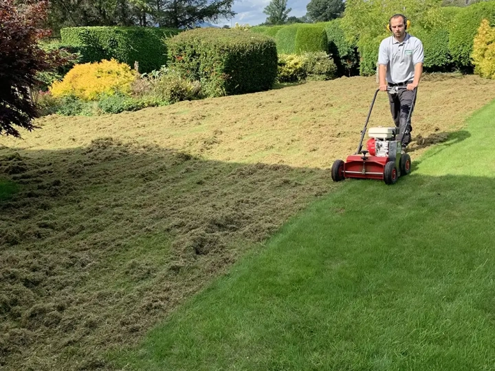 Lawn Scarification